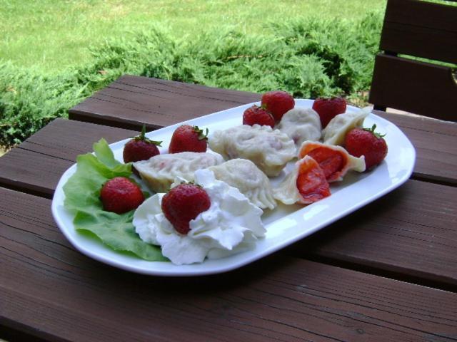 Bed & Breakfast Green Roof Rybarzowice  Εξωτερικό φωτογραφία